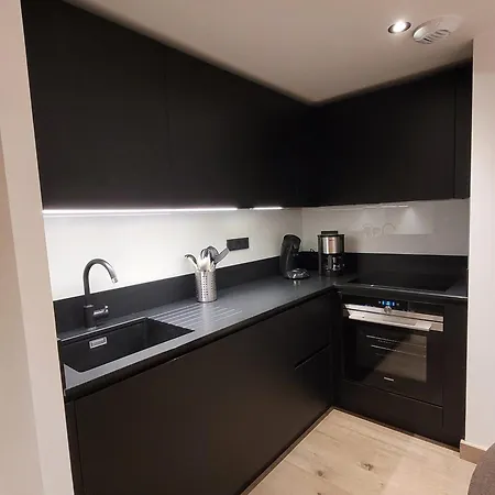 Apartman Centre Village, Moderne, 3*, Acces Pistes, Parking, Wifi - Fr-1-598-95 Les Gets